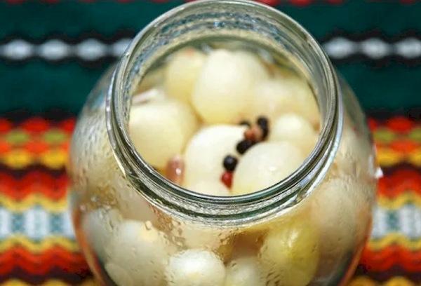 Conservation de l'oignon