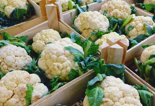 Chou-fleur en boîtes