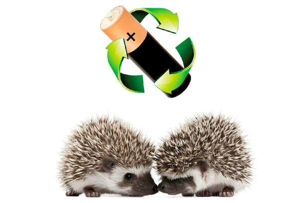 Action Sauvez le hérisson