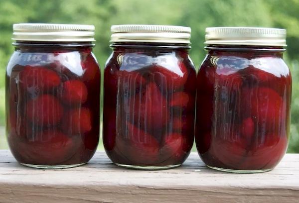 Conservation des betteraves