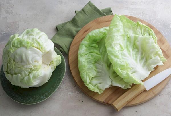 Feuilles de chou pour rouleaux de chou