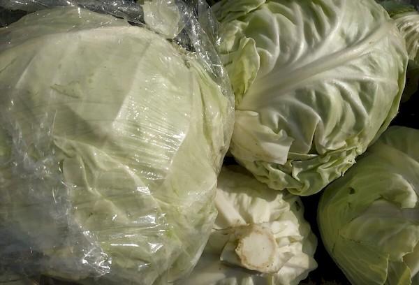 Stockage du chou