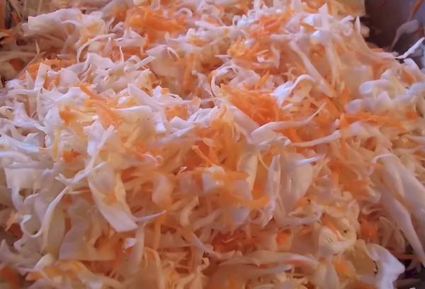 Chou et carottes râpés