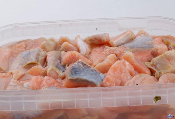 Morceaux de poisson dans un récipient