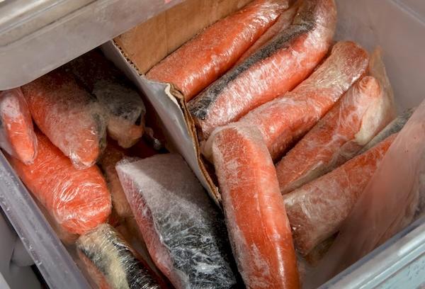 Poisson congelé au congélateur