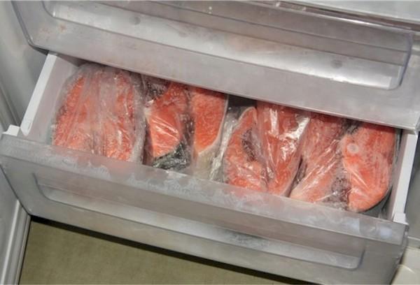 Caractéristiques de la congélation du poisson légèrement salé