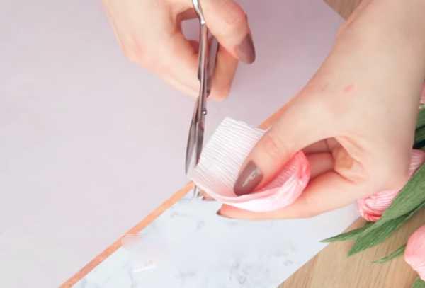 bouquet de tulipes 11