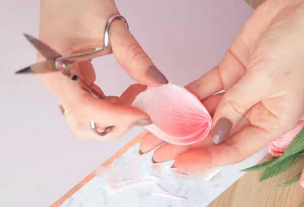 bouquet de tulipes 5