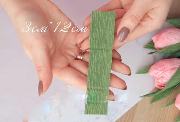 bouquet de tulipes 3