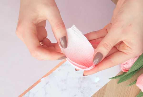 bouquet de tulipes 10