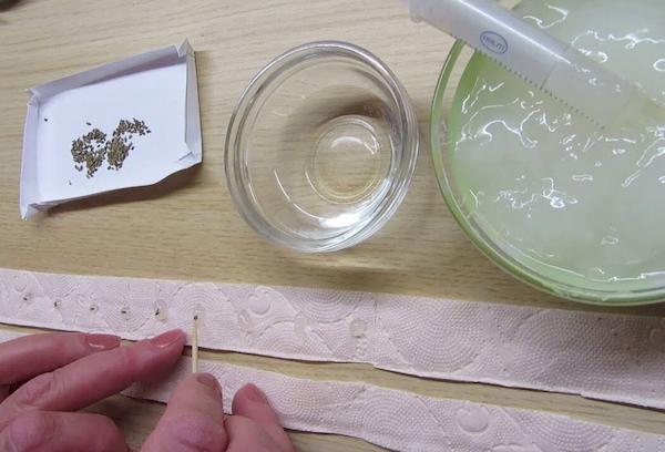 Ruban adhésif avec graines