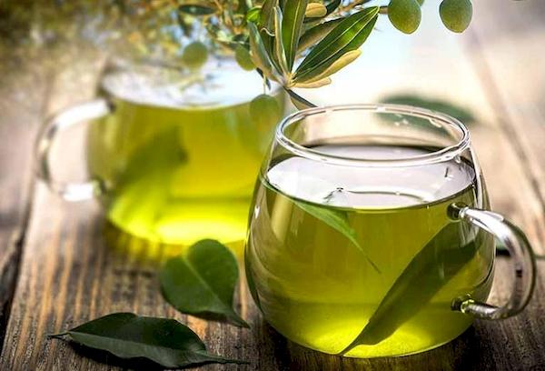 Décoction de feuilles fraîches d'olivier