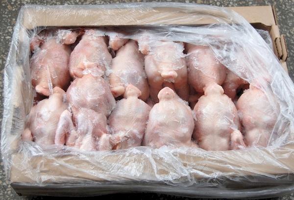 Poulets congelés