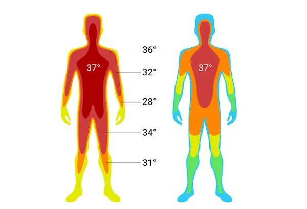 Température corporelle