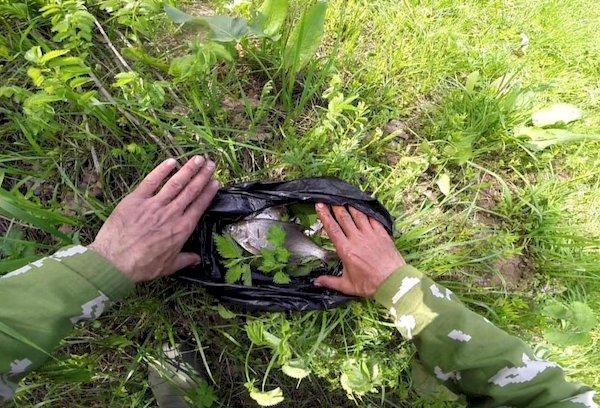 Conserver le poisson dans l'herbe