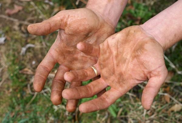 Mains tachées de champignons
