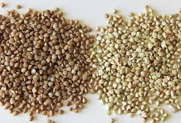 Sarrasin vert et ordinaire