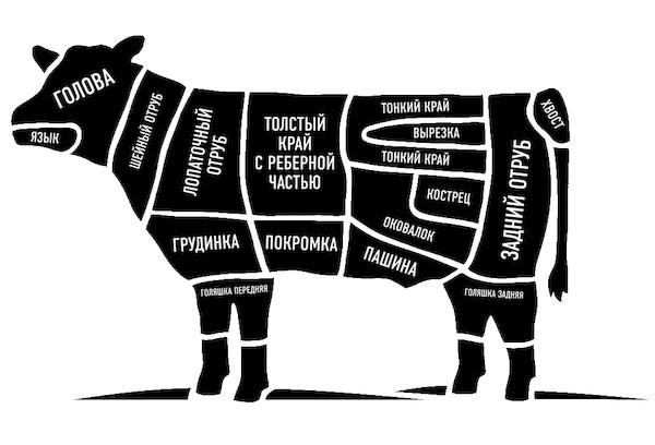 Parties d'un diagramme de carcasse de vache