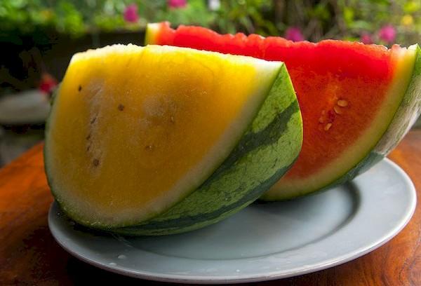 En dehors de la pastèque jaune et rouge