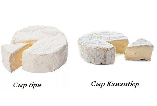 Fromage Brie et Camembert