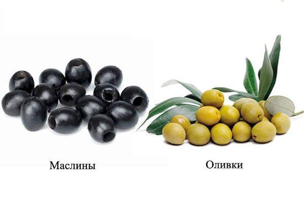 Différence entre les olives et les olives noires