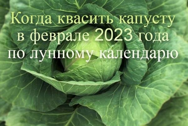 Quand fermenter le chou en février 2023 selon le calendrier lunaire et la position des constellations, ce que disent les signes folkloriques