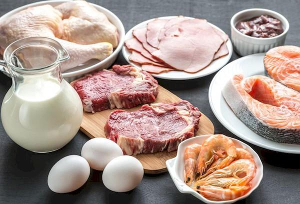 Aliments pour animaux