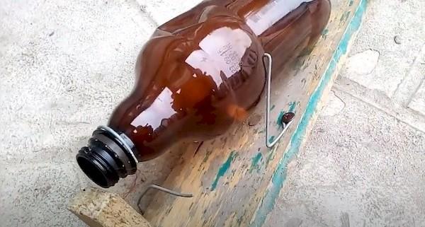Piège à souris d'une bouteille - méthode 2