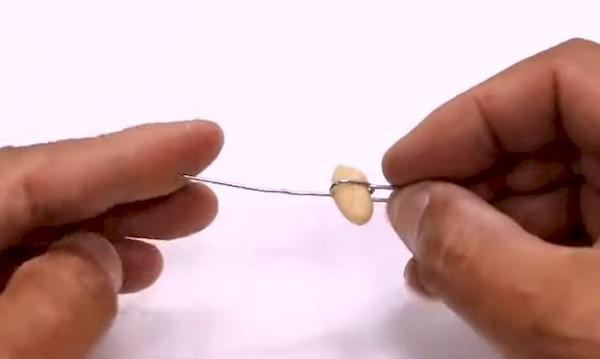 Piège à souris d'une bouteille - méthode 3