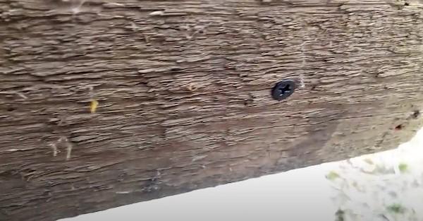 Piège à souris d'une bouteille - méthode 2