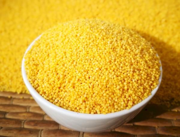 Céréales de millet