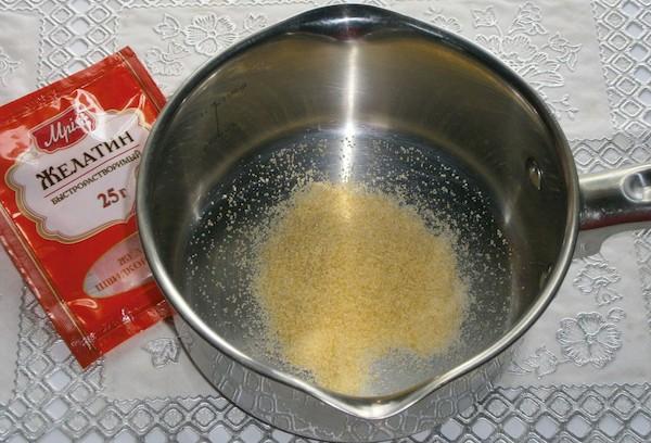 Dilution de la gélatine