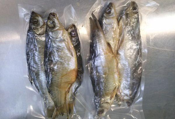 Durée de conservation du poisson salé