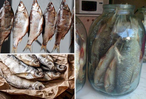 Conserver le poisson rouge