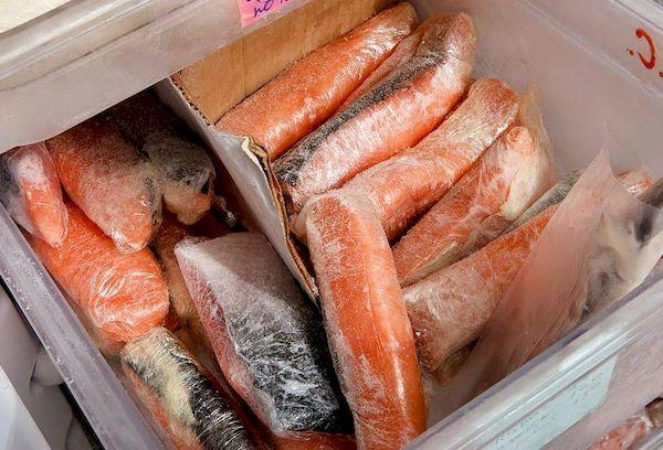 Conserver le poisson salé au congélateur