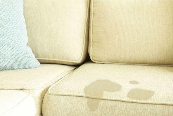 Tache de bière sur les meubles rembourrés