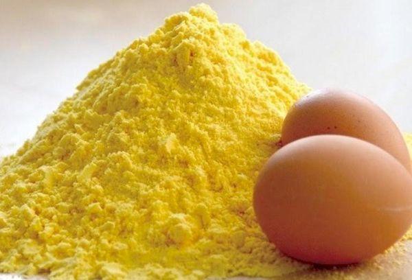 Mélange ou mélange d'œufs