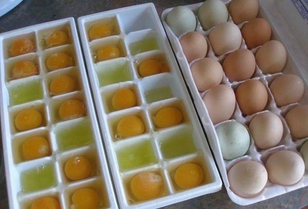Oeufs de poule au congélateur