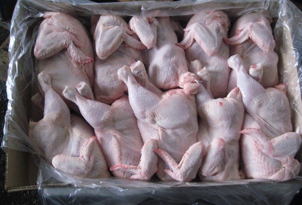 Carcasses de poulet