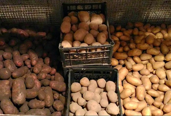 Boîtes de pommes de terre