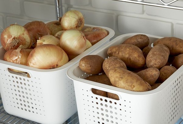 Pommes de terre et oignons en caisses