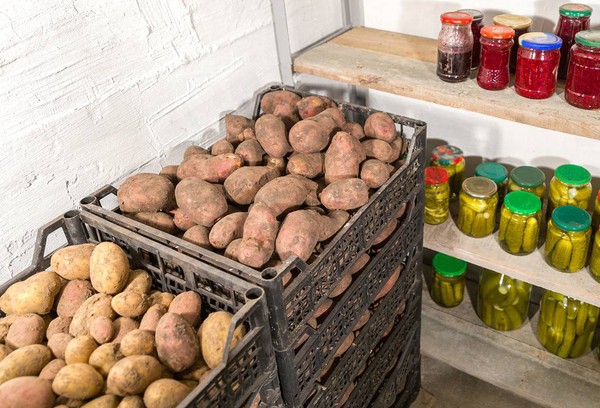 Pommes de terre à la cave