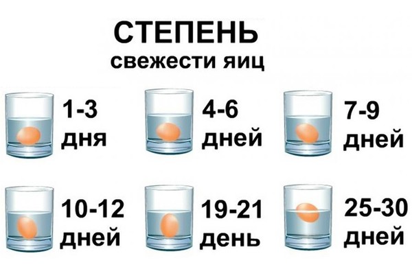 Fraîcheur des œufs